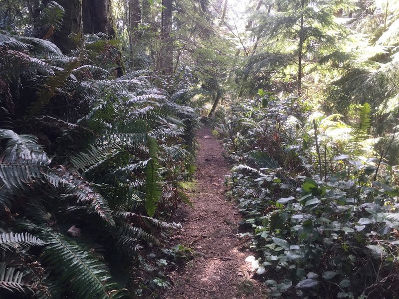 A Short Hike with Surprisingly Big Rewards A Short Hike with Surprisingly Big Rewards