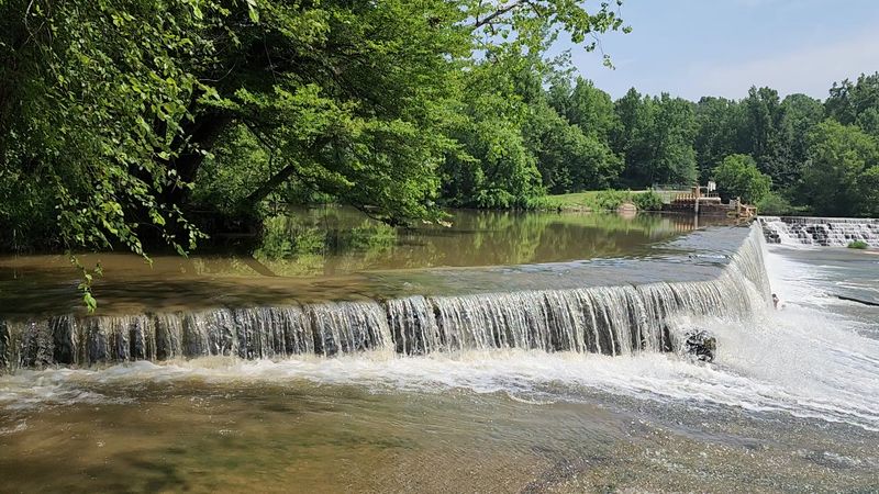 A Symphony of Seasons at the Falls