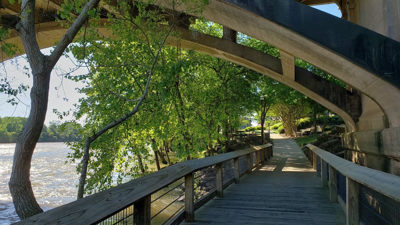 A Tree-Lined Trail That Invites You to Slow Down A Tree-Lined Trail That Invites You to Slow Down