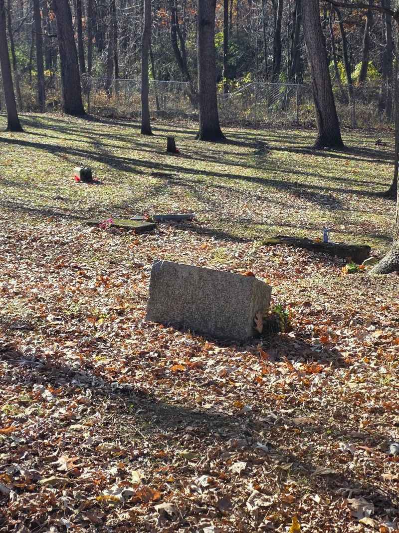 A Walk Through Time: The Pioneer History of Bachelor's Grove