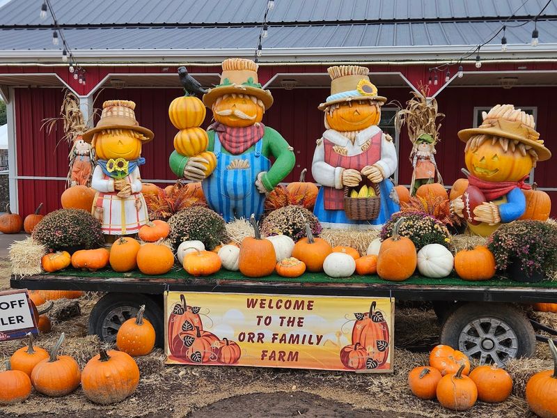 A Warm Farm Welcome A Warm Farm Welcome