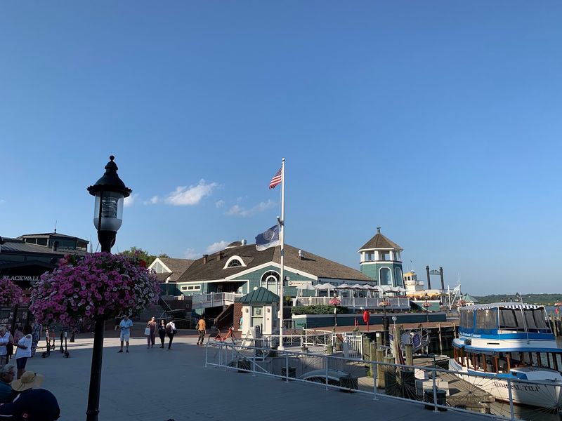 A Waterfront That Absolutely Loves Your Dog