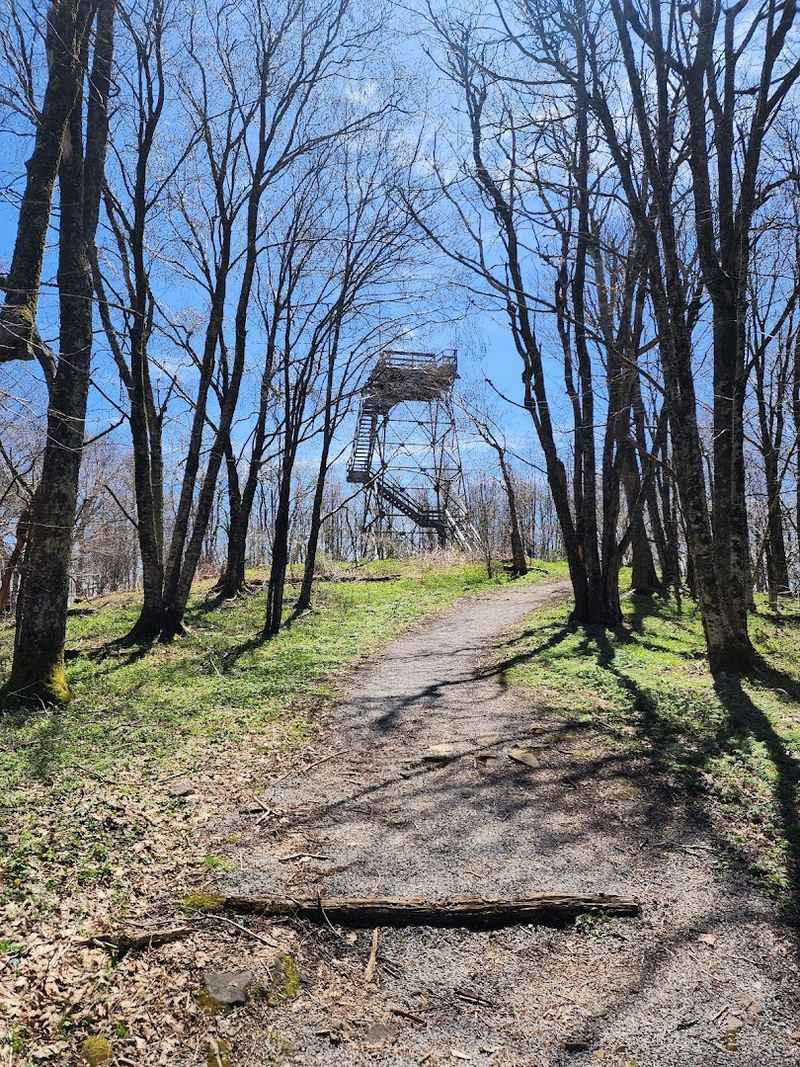 Accessibility Amidst the Heights