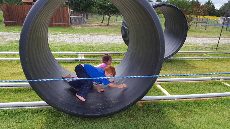 Activity Acres and the Fun Built for Younger Visitors Activity Acres and the Fun Built for Younger Visitors