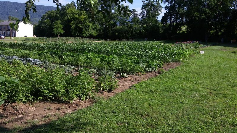 Agricultural Roots That Run Deeper Than the Valley Floor Agricultural Roots That Run Deeper Than the Valley Floor
