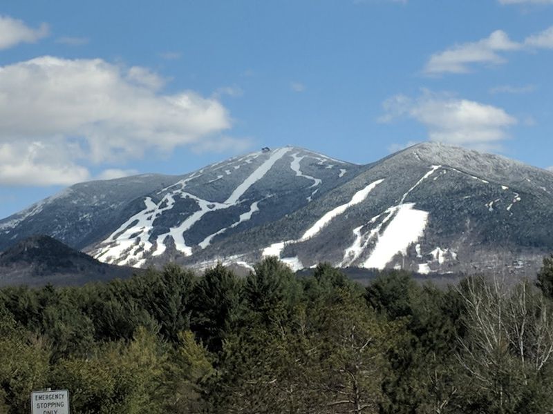 Alpine Adventures Sends You Soaring Above the Treetops Alpine Adventures Sends You Soaring Above the Treetops