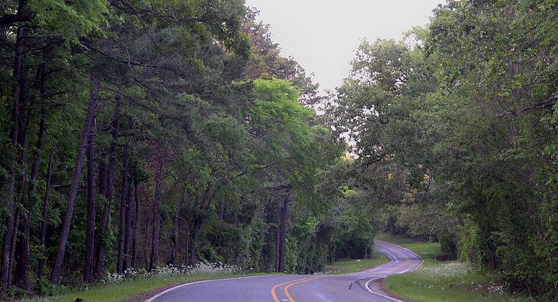 Anderson County