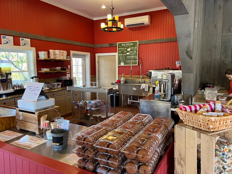 Apple Cider Donuts That Deserve Their Own Fan Club