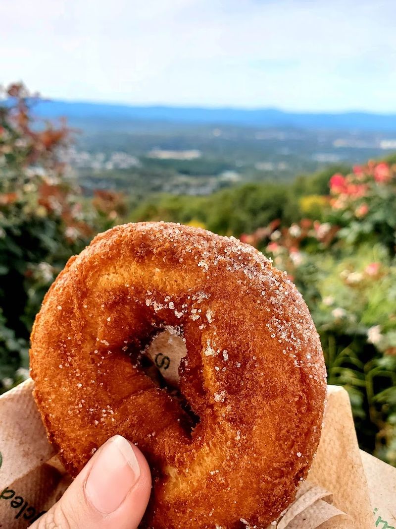 Apple Cider Donuts That Have Earned Their Legend Apple Cider Donuts That Have Earned Their Legend