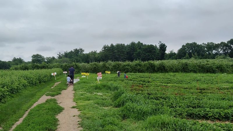 Applecrest Farm Orchards (Hampton Falls, NH) Applecrest Farm Orchards (Hampton Falls, NH)