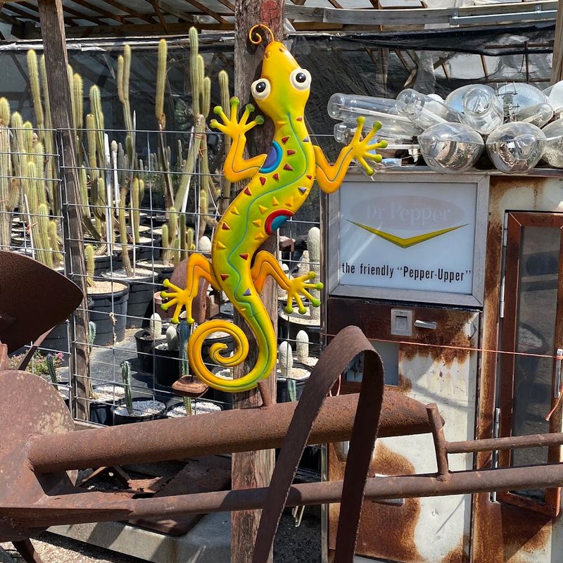 Art, Artifacts, and Weird Junk That Make It Unforgettable