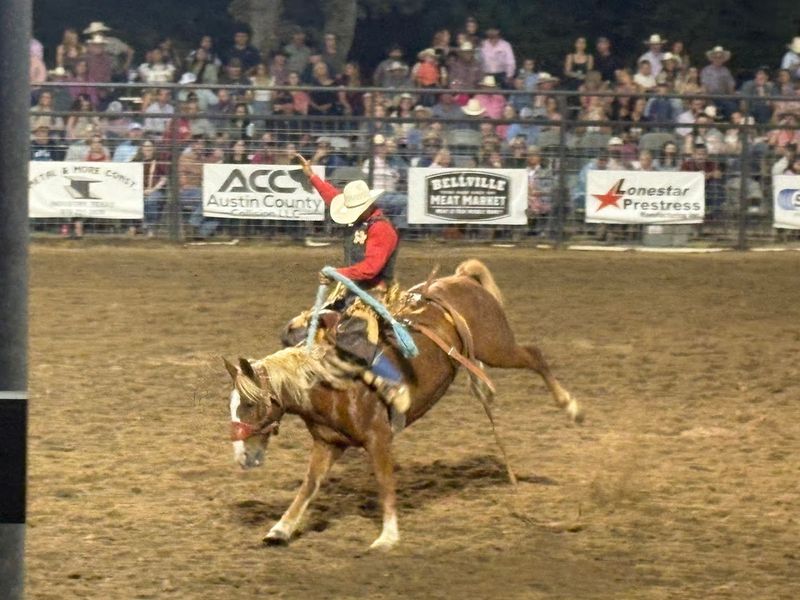 Austin County Fair and Rodeo