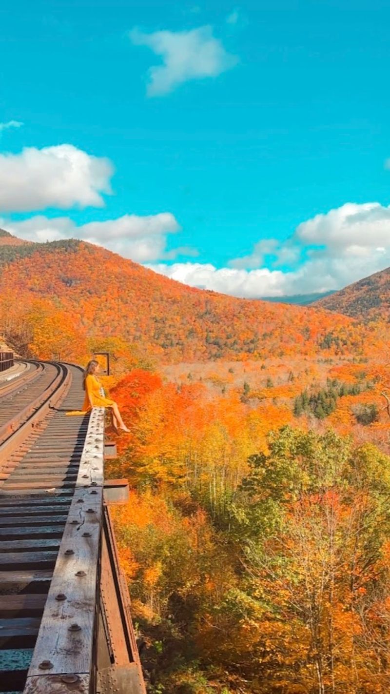 Autumn Colors Turn Everything Up to Maximum