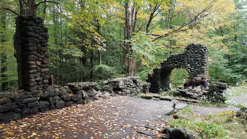 Autumn at Madame Sherri Forest and Why Fall Visits Feel Magical Autumn at Madame Sherri Forest and Why Fall Visits Feel Magical
