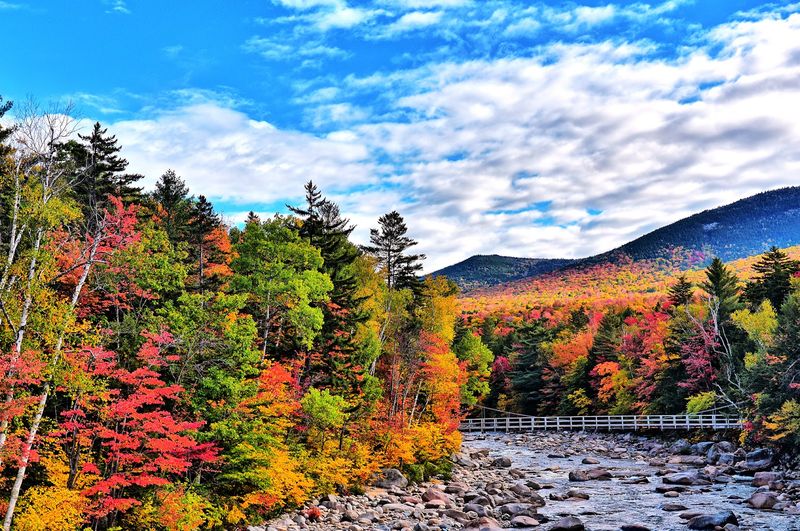 Autumn at Rocky Gorge: When New Hampshire Goes Full Showoff Mode