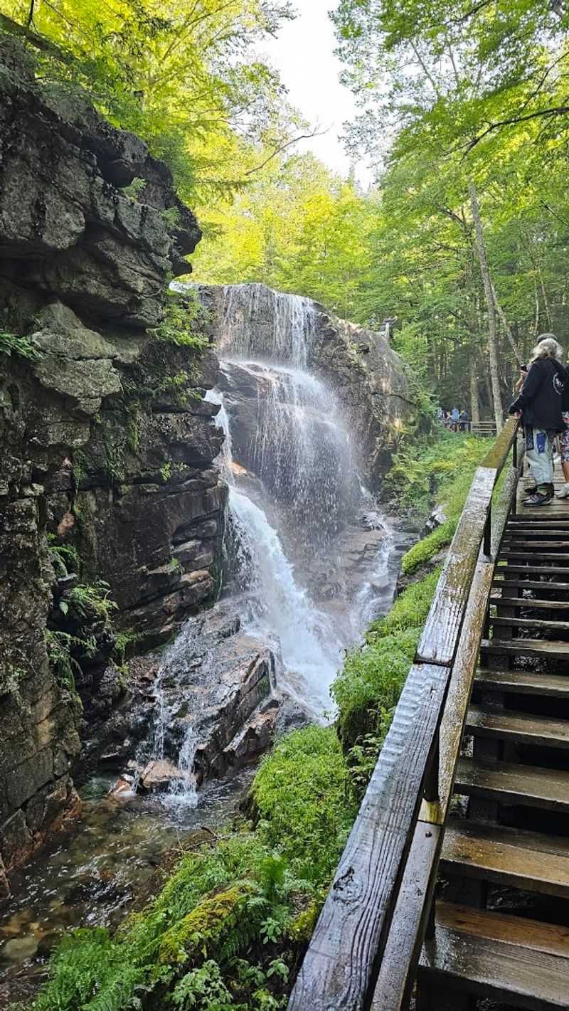 Avalanche Falls Thundering Into the Gorge