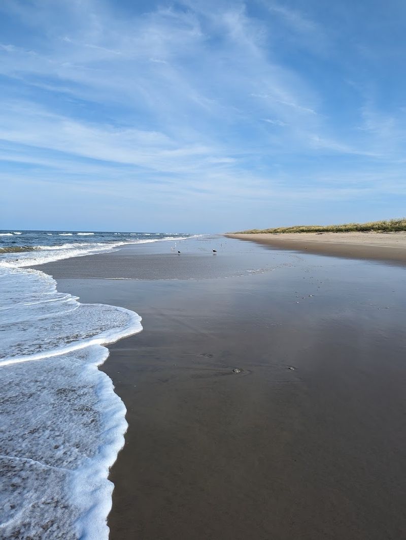 Back Bay National Wildlife Refuge Beach, Virginia Beach Back Bay National Wildlife Refuge Beach, Virginia Beach