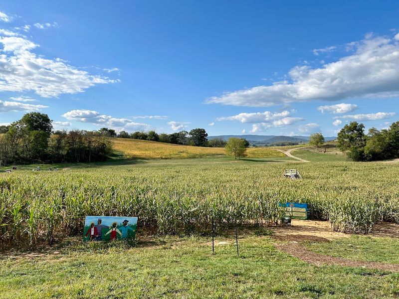 Back Home on the Farm, Harrisonburg