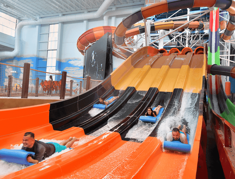 Barreling Baboon and Cheetah Racers, Family Slide Favorites Barreling Baboon and Cheetah Racers, Family Slide Favorites