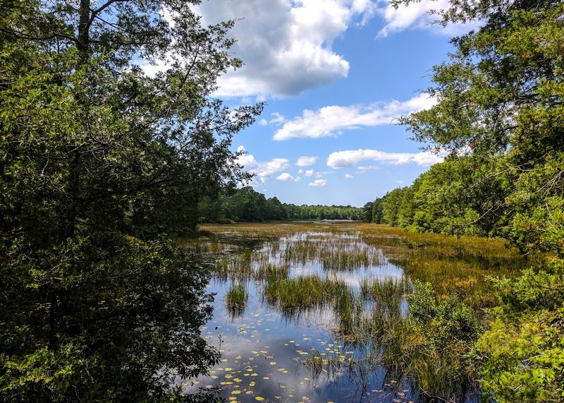Bass River–Tuckerton Area 