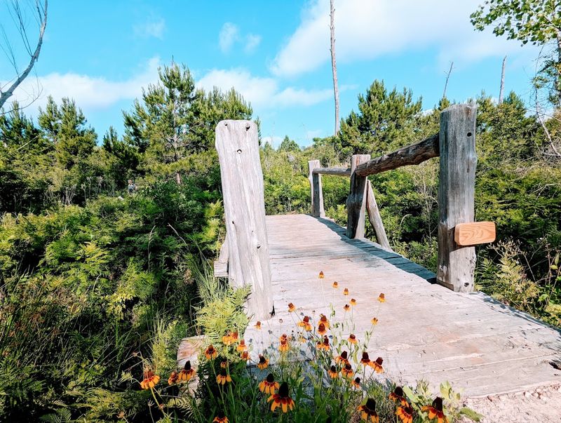 Bastrop State Park