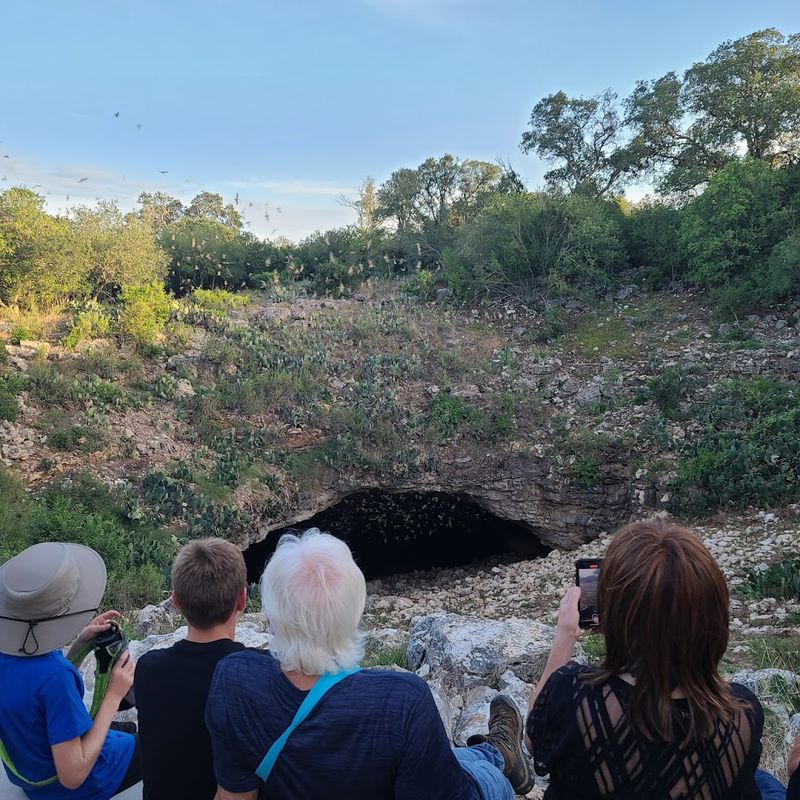 Bat Conservation International and the Story Behind the Preserve