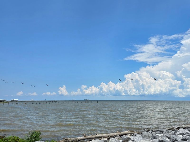 Bayfront Park Boardwalk, Coden