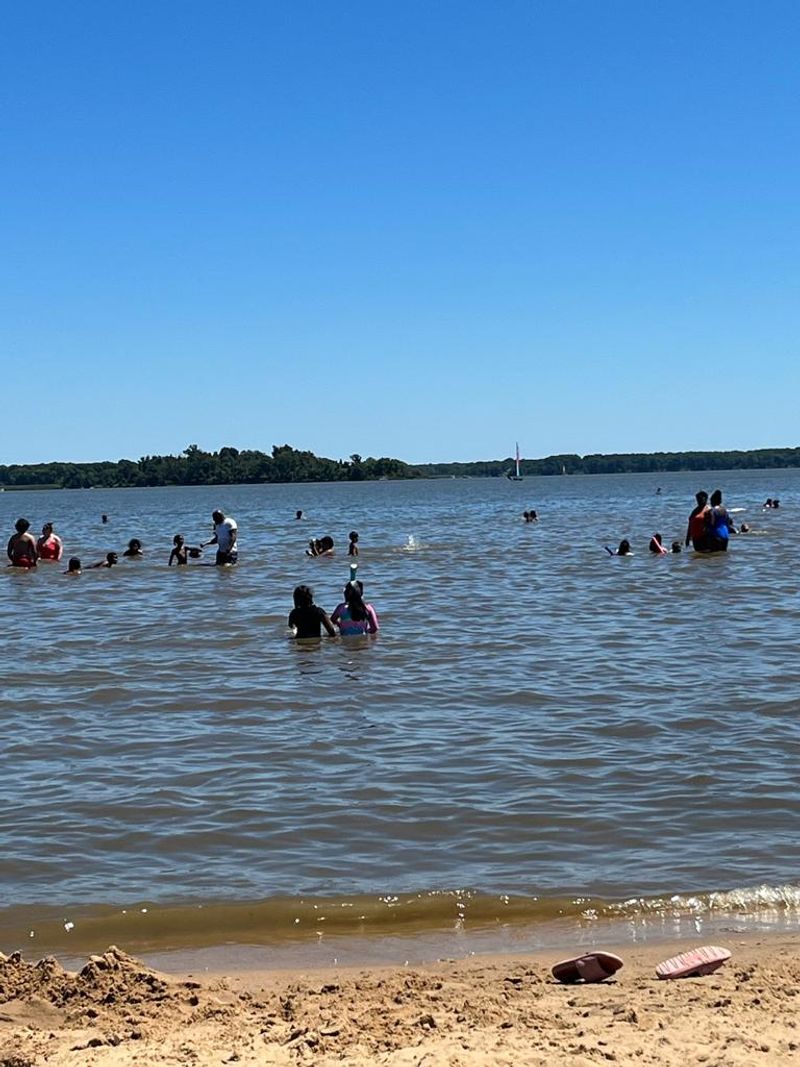 Beach Days at the Hammerman Area Beach Days at the Hammerman Area
