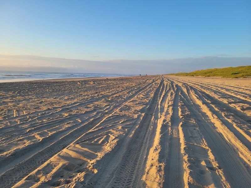 Beachcombing and Shelling Along Miles of Untouched Shoreline