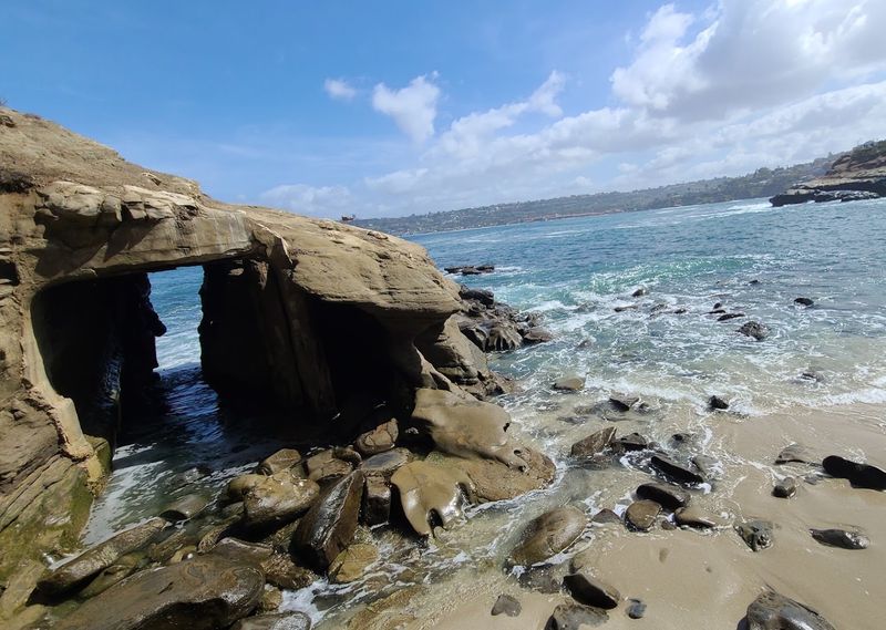 Beneath the Surface: Snorkeling in La Jolla Cove's Underwater Reserve