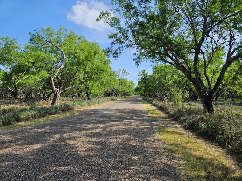Bentsen-Rio Grande Valley State Park 