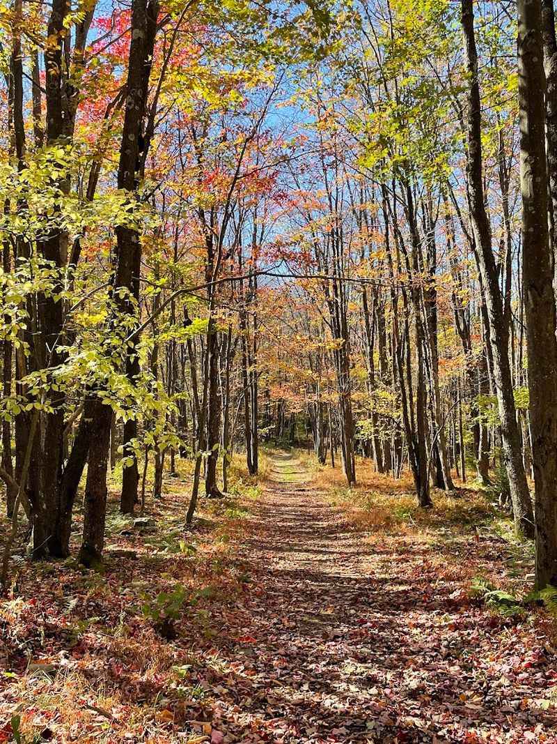 Best Hiking Trails For Every Skill Level