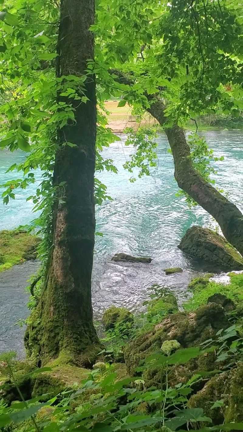 Best Times to Visit and Practical Tips Worth Knowing