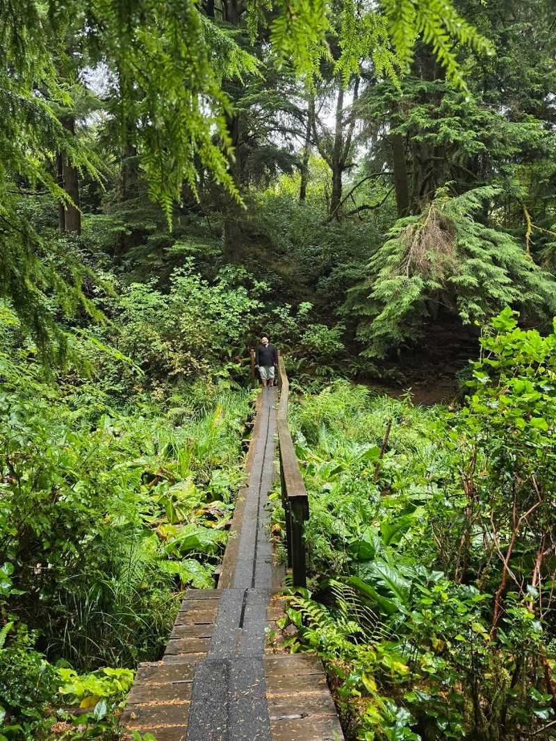 Best Times to Visit and What Each Season Offers