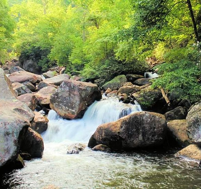 Best Times to Visit and What to Expect Each Season Best Times to Visit and What to Expect Each Season