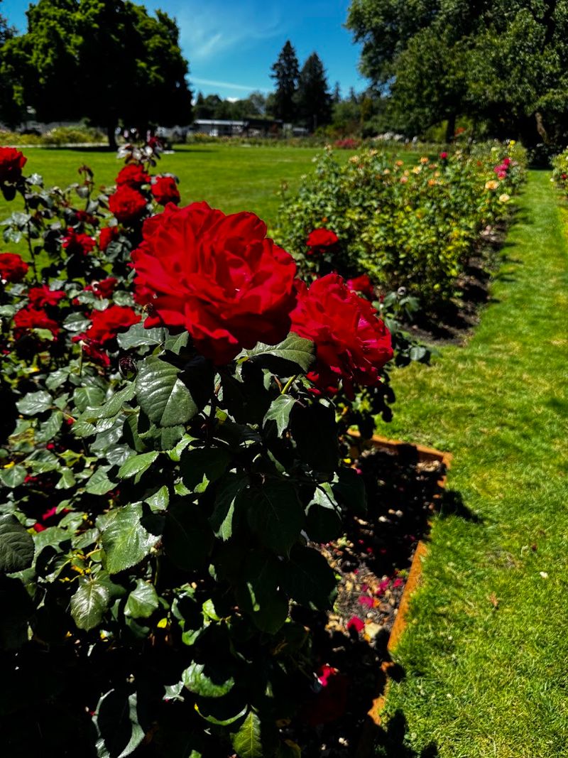 Best Times to Visit and What to Expect Each Season Best Times to Visit and What to Expect Each Season