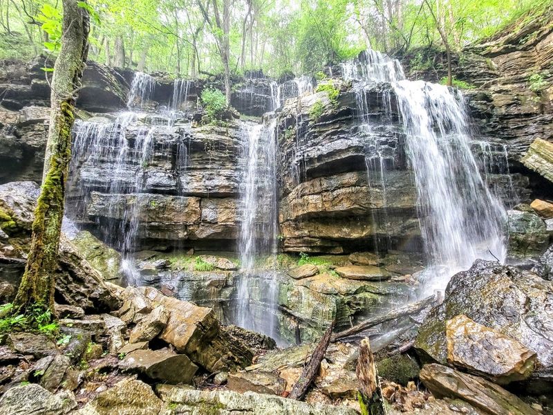 Bethel Springs Preserve Waterfalls Bethel Springs Preserve Waterfalls