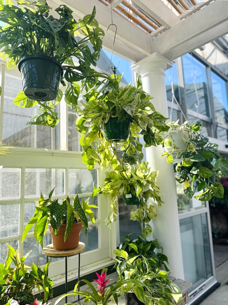 Beyond Plants, A World of Garden Inspiration