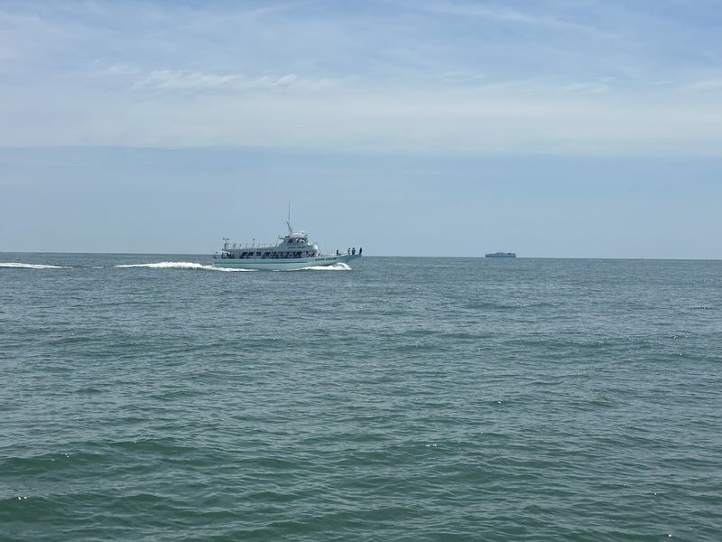 Beyond the Dolphins Whale Watching Season Beyond the Dolphins Whale Watching Season