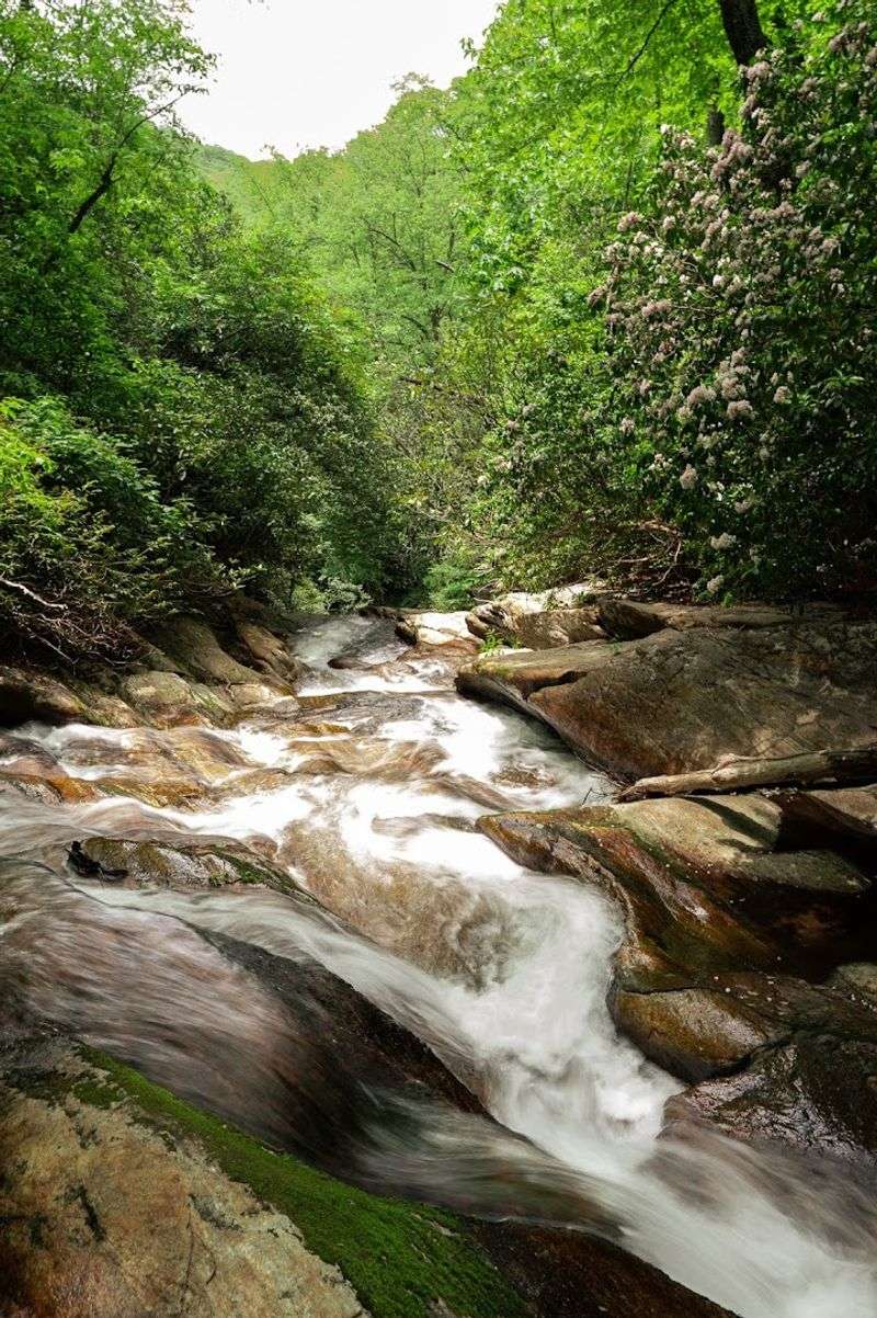 Beyond the Main Falls: Hidden Pools and Upstream Gems Beyond the Main Falls: Hidden Pools and Upstream Gems