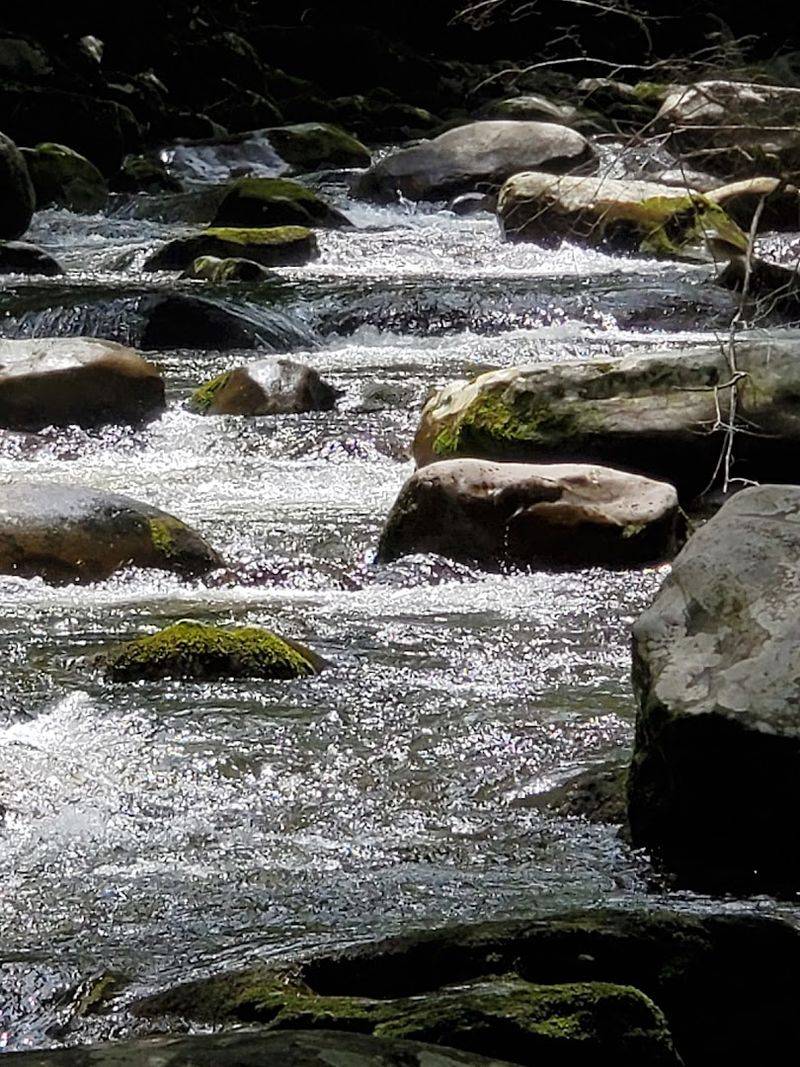 Beyond the Swim, Riverside Relaxation and Picnic Life at Greenbrier Beyond the Swim, Riverside Relaxation and Picnic Life at Greenbrier