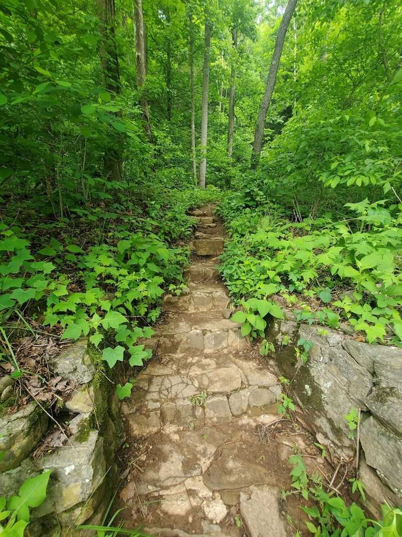 Big Cedar Creek Trail and the Path to Big Falls Big Cedar Creek Trail and the Path to Big Falls