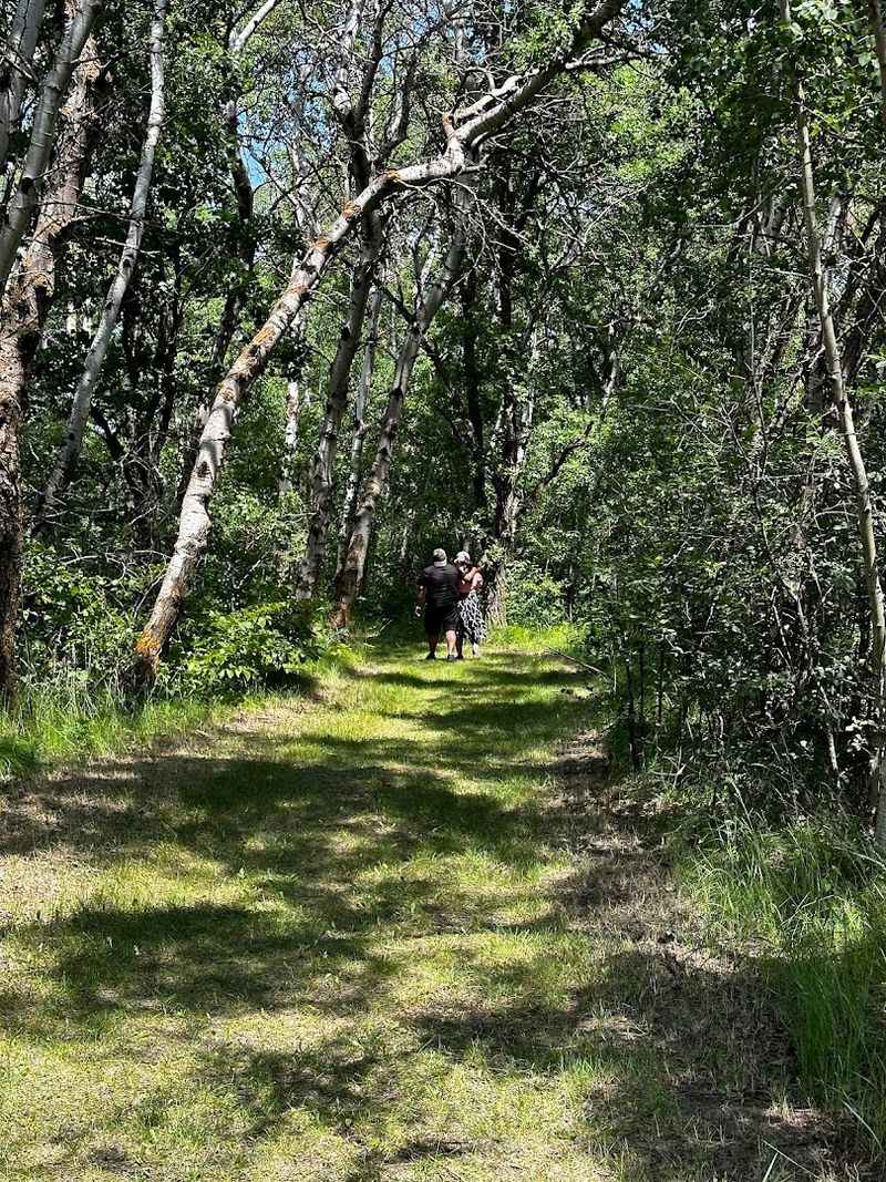 Biking Through the Park, Easy Trails and a Few Wrong Turns