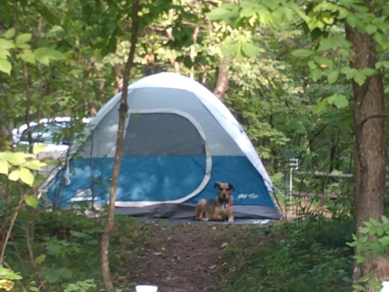 Birch Lakes Campground, Aitkin County
