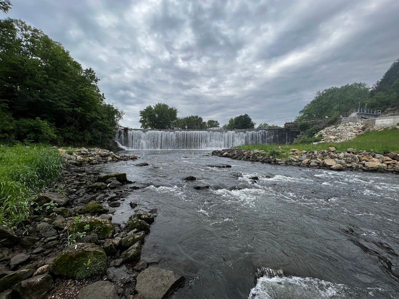Bird Watching in the Driftless Area