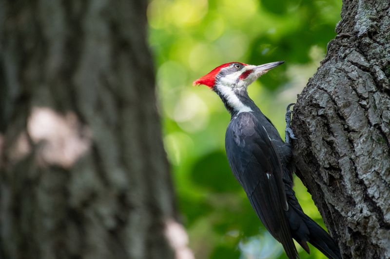 Birdwatching That Will Genuinely Surprise You Birdwatching That Will Genuinely Surprise You