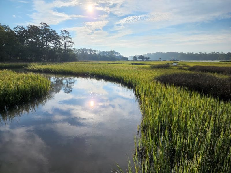 Birdwatching and Wildlife That Keeps You Looking Up Birdwatching and Wildlife That Keeps You Looking Up