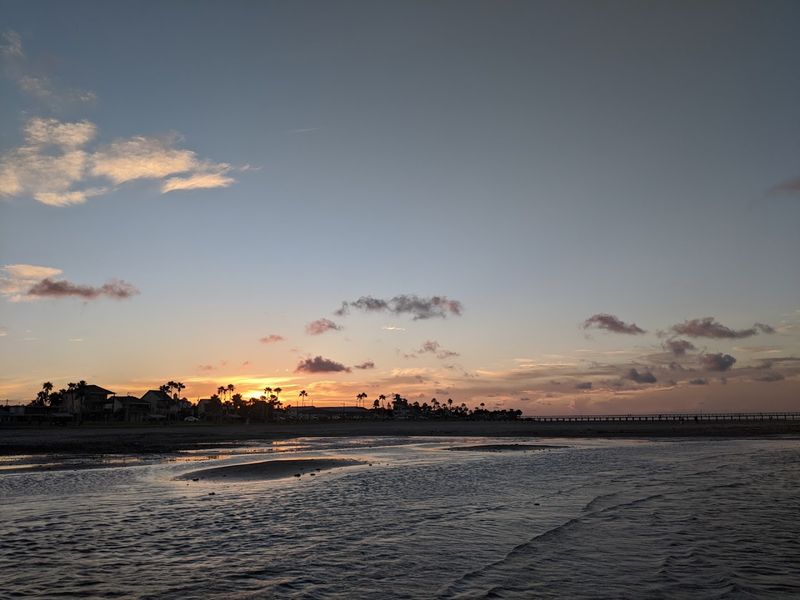Birdwatching in One of Texas's Best Coastal Hotspots