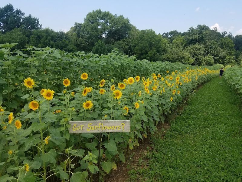Bloom Season Runs Longer Than You Might Expect