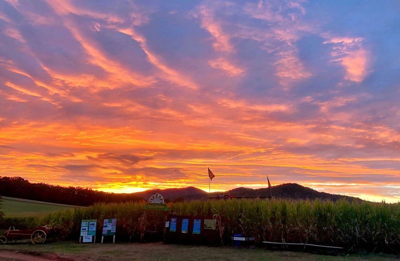 Blue Ridge Mountain Maze, Roseland